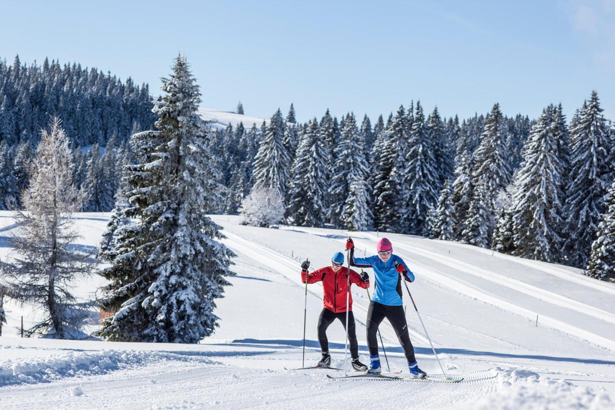 Lejlighed Schwarzwaldhaus Krebs - Peter Lustig, Lenzkirch, Feldberg *