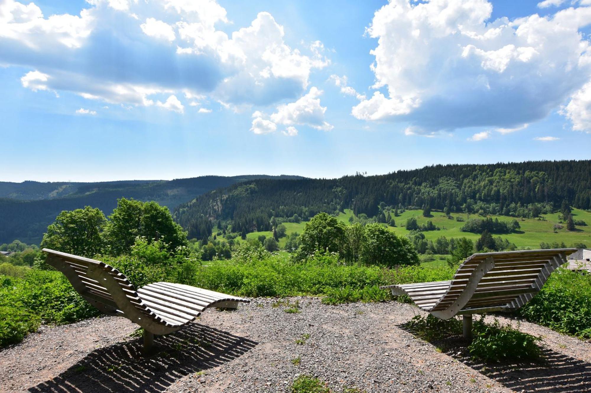 Lejlighed Schwarzwaldhaus Krebs - Peter Lustig, Lenzkirch, Feldberg Lenzkirch