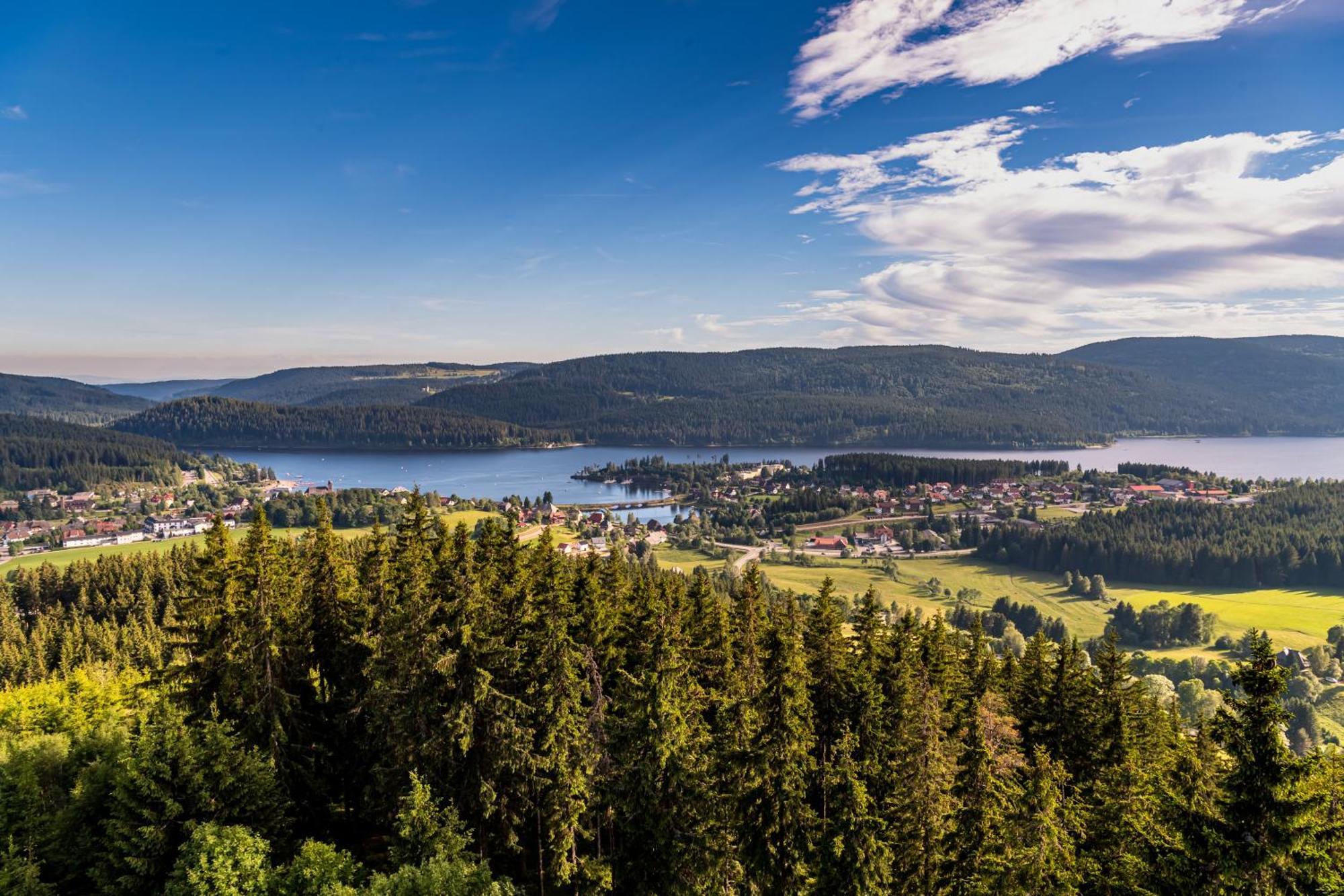 Schwarzwaldhaus Krebs - Peter Lustig, Lenzkirch, Feldberg